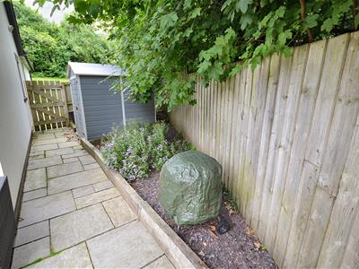 Picture 21